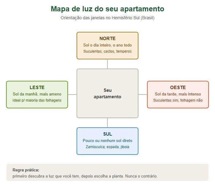 Infográfico mostrando a orientação das janelas e a luz recebida em apartamentos no Brasil