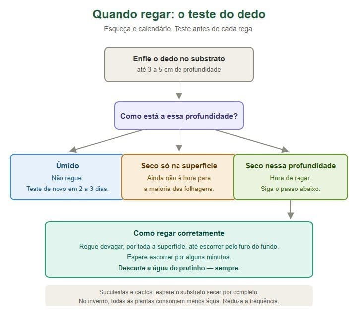 Fluxograma do teste do dedo para saber quando regar as plantas